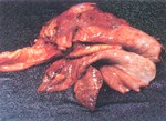 圖1：雙側肺葉均見心、尖葉呈暗紅色，表面有纖維素附著。