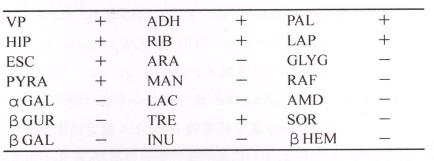 b.經與 API 20 Strep 5 版 Data base對照，查無該號碼可供對照。c.16SrDNA鑑定為 Streptococcus agalactiae或Streptococcus difficile(相似度均為99.02%)。